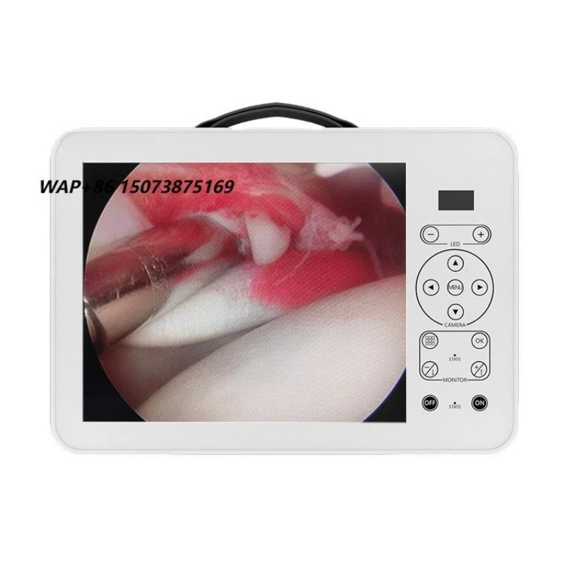 Veterinary rigid endoscopic system with 17-inch all-in-one and recording for laparoscopic surgery or examination