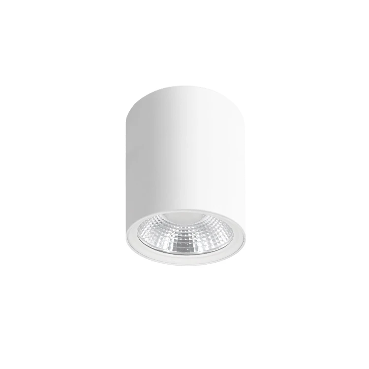 15W 30W 50W Surface Mounted LED Ceiling Cylinder Down Light Die-Casting Aluminum SMD Downlight