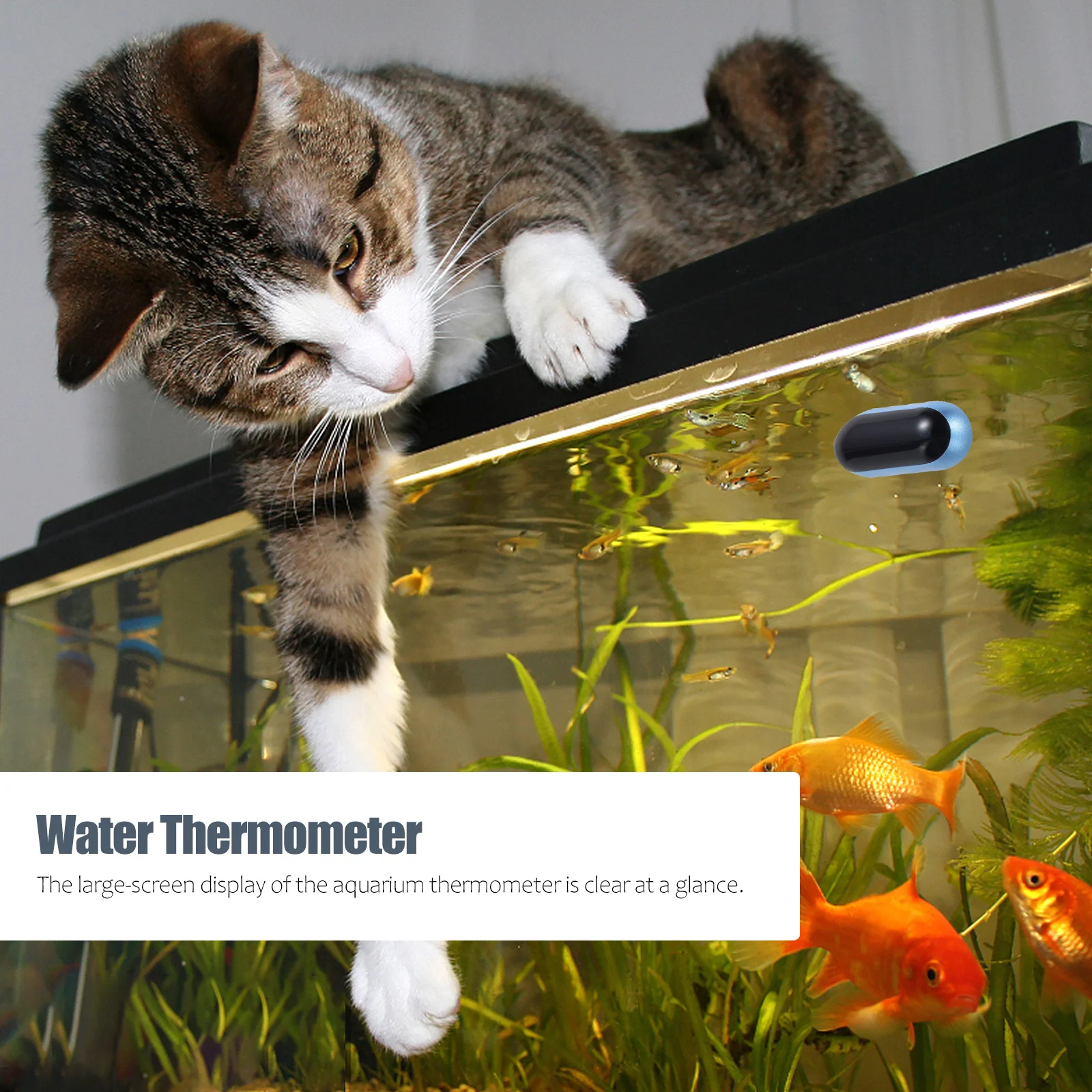 

Fish Tank Thermometer Digital Aquarium Thermometer Water Temperature Measure Tool Large Screen Display Easy Install