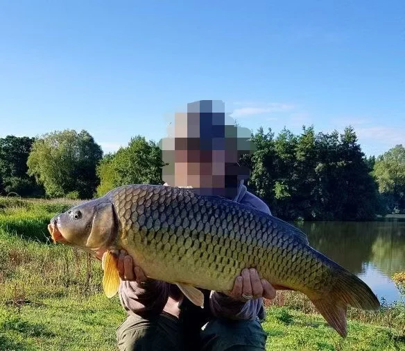 Nowa Edycja Kamera Podwodna Sonar Wędkarstwo Karpiowe GPS Łódka Zanętowa Sprzęt Karpiowy