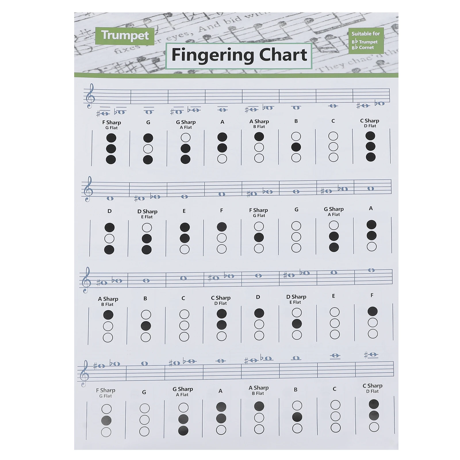 

Trumpet Chord Chart Diagram for Beginner Student Practice Clear Printing Small Size Wall Poster Bright Colors Brass