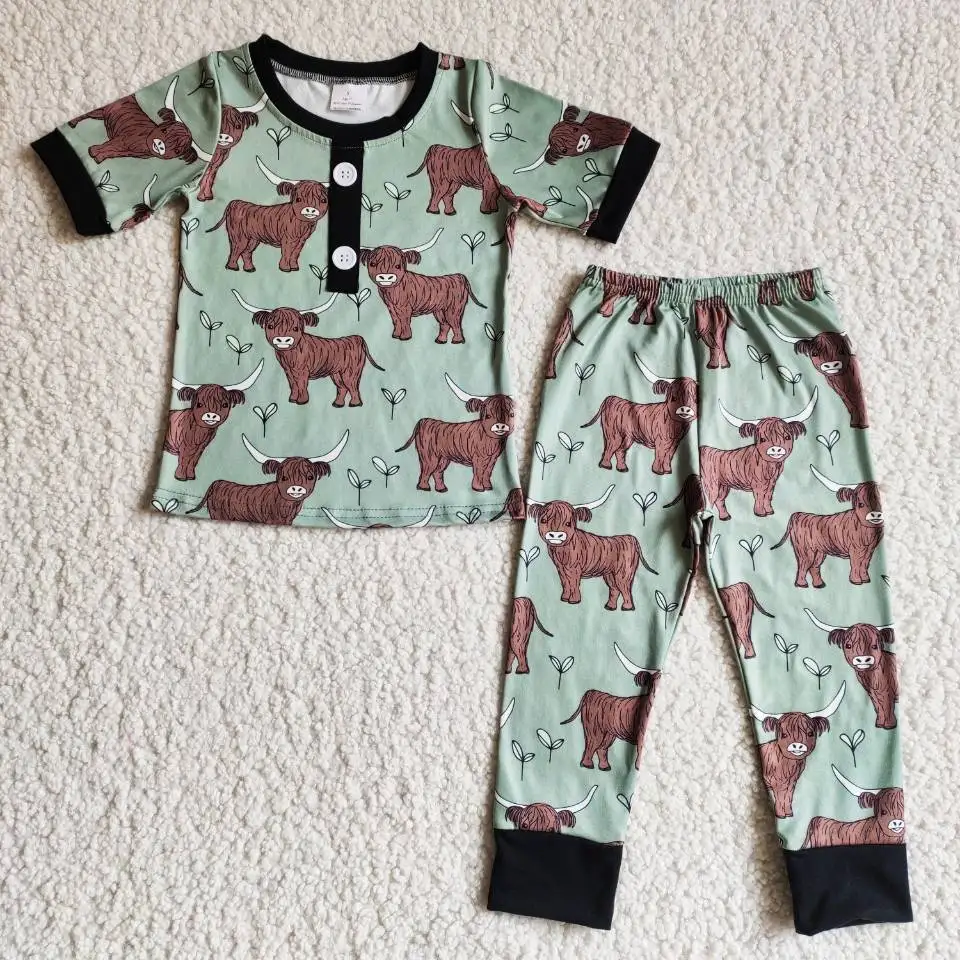 

RTS Fall Baby Girls Pajamas Short Sleeve Shirt Pants Clothes Cactus Horse Southern Farm Style Kids Boutique Clothes