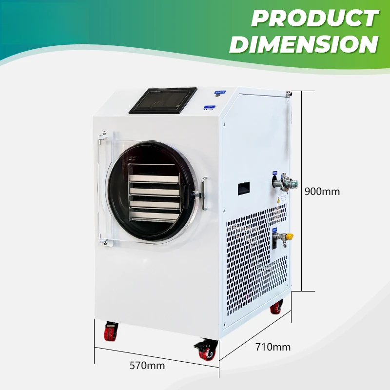 Continuous Fruit Snacks Vacuum Drier For Use Milk Dryer Freeze Dry Machine At Home