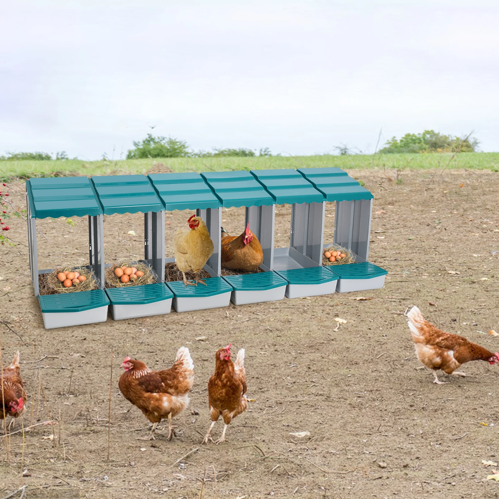 

6 Compartment Green PP Chicken Nesting Box, Wall Mount or Freestanding for Hens Ducks and Poultry Egg Laying