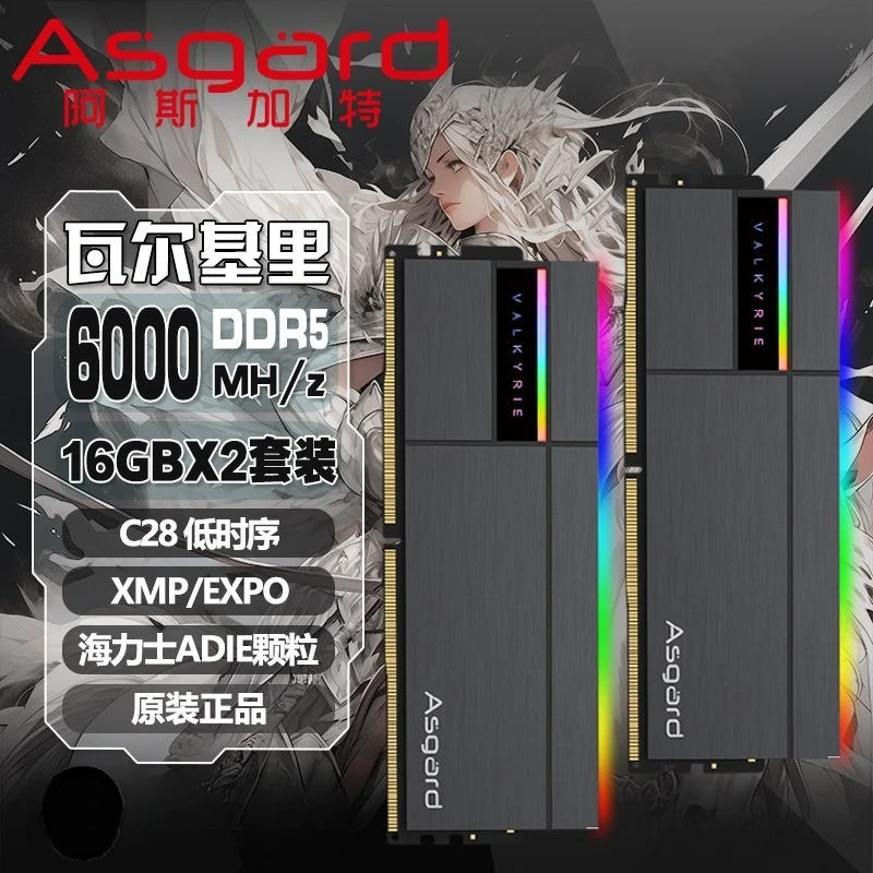 Asgard DDR5 Desktop RAM 16GB 24GB 32GB 48GB Memory Kit 6000MHz