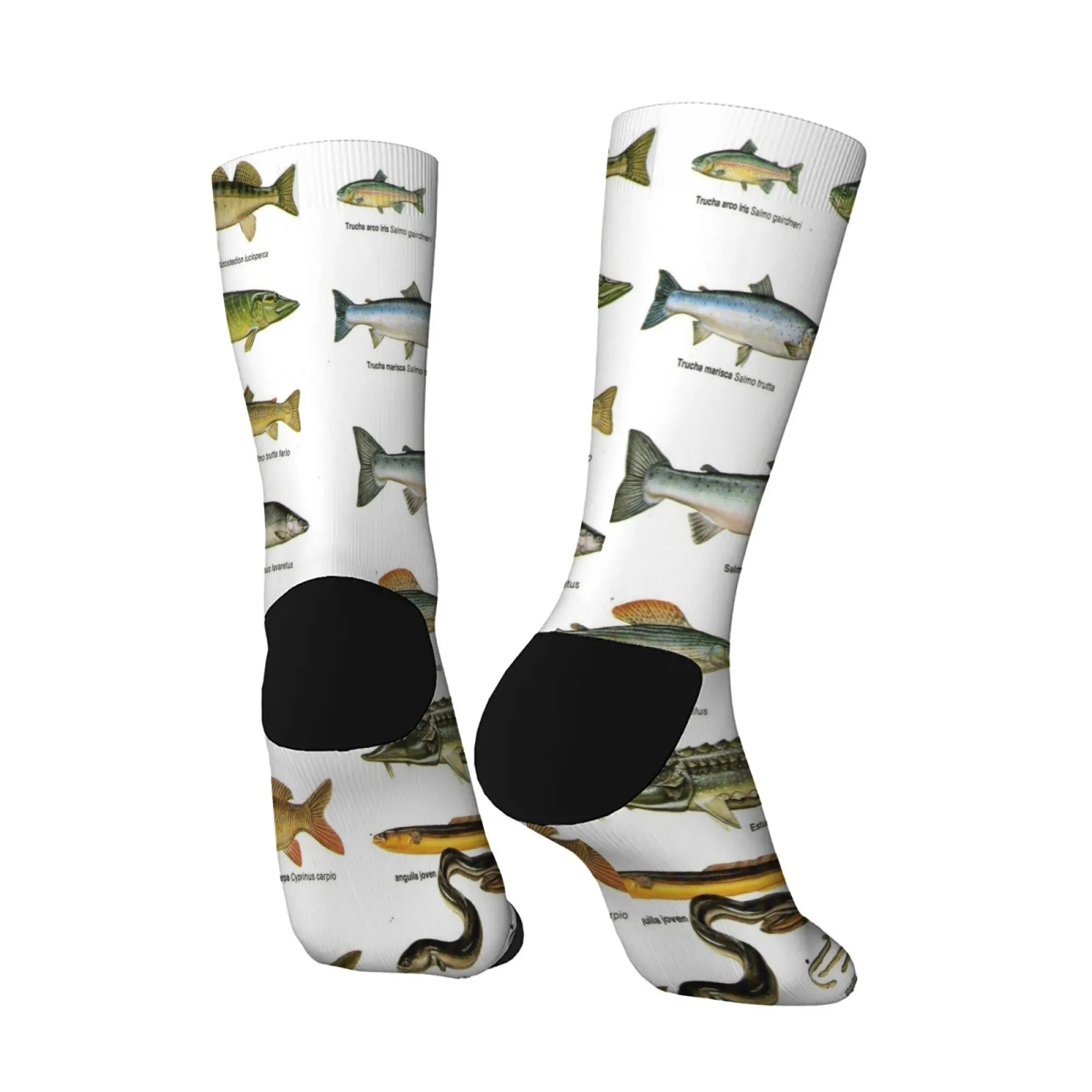 1 組のメンズソックス 面白い魚柄 新鮮で明るい ファッショナブルで快適なオールシーズン対応のノベルティソックス ギフト