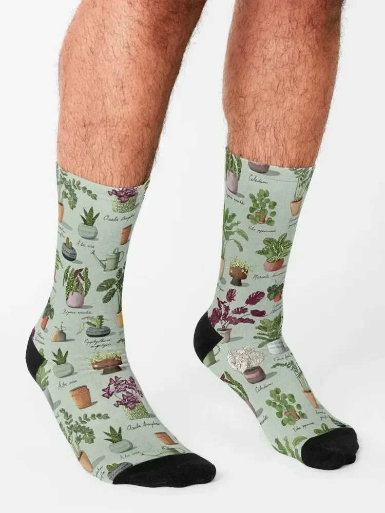 Succulents and Potted Plants Pattern Socks christmas gift football winter Rugby Designer Man Socks Women's