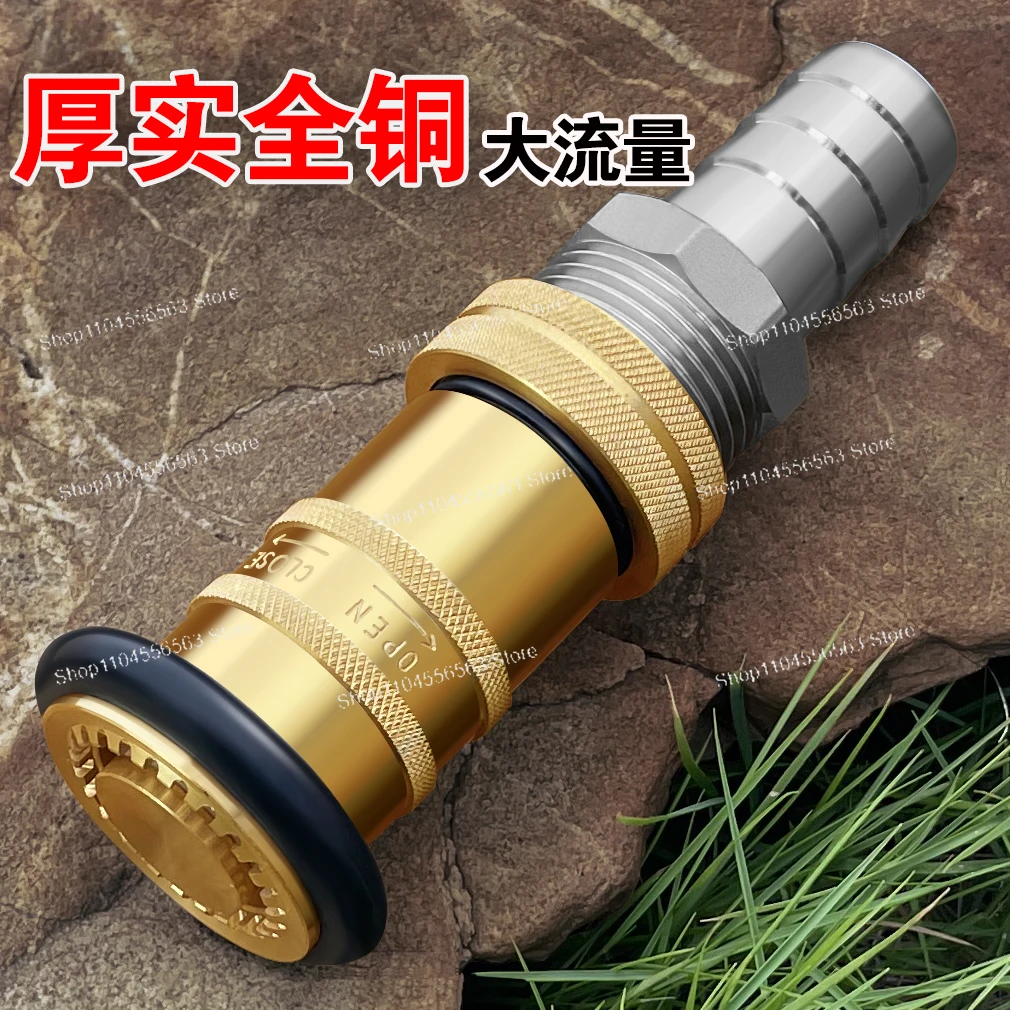 

Распылительная насадка для автомойки из чистой меди и головка водяного пистолета высокого давления с резьбой для насоса