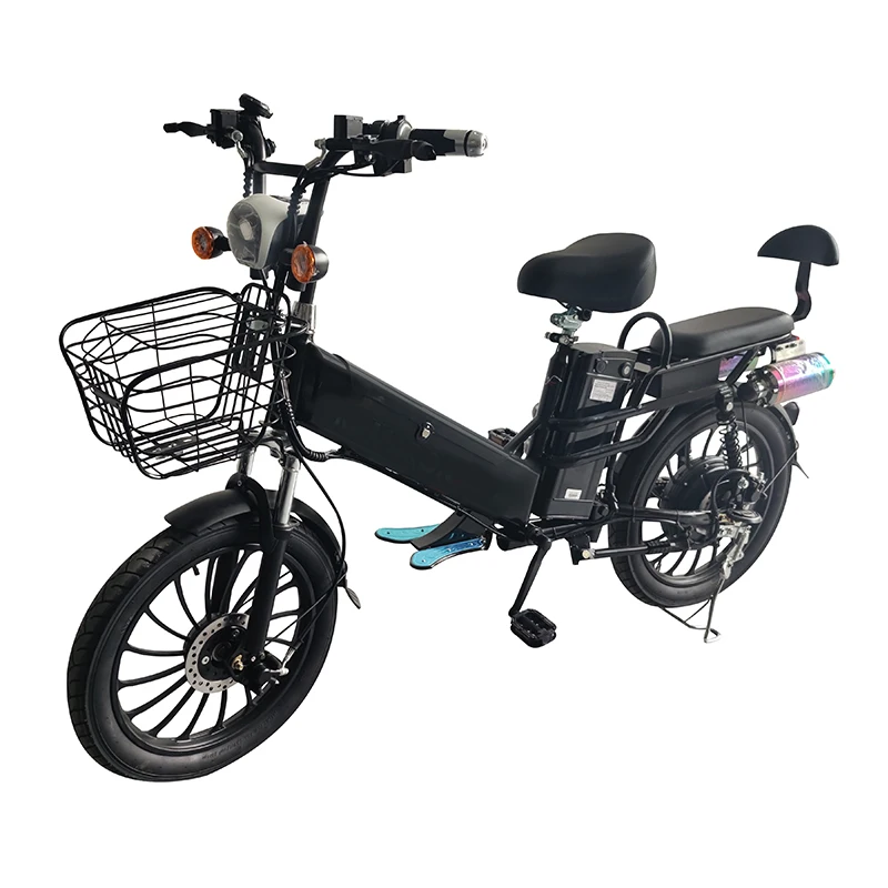 Factory,20 Inch Two Batteries Electric Bike,350W Rider Cargo E-bike,48V Lithium Batteries Bluetooth Speaker Electric Bicycle,OEM