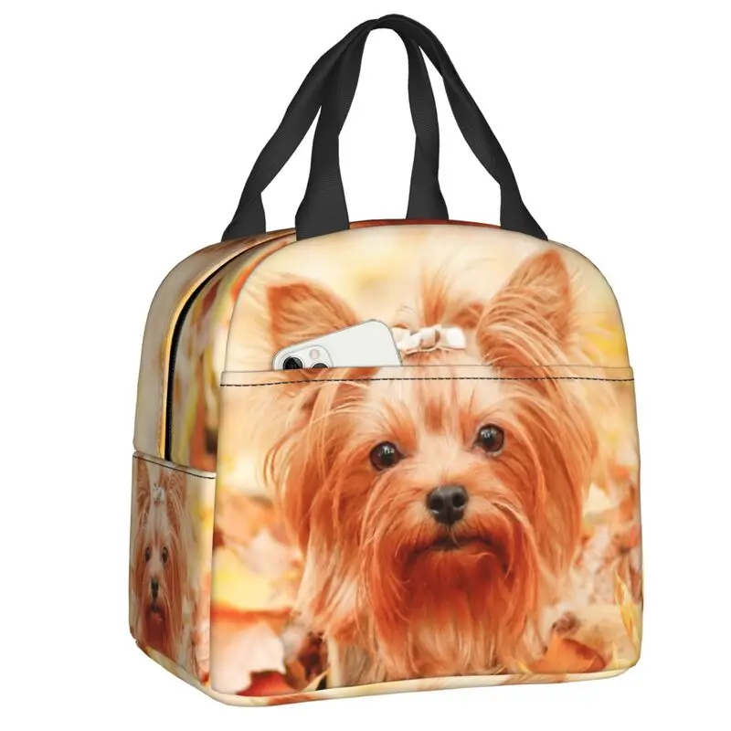 Yorkshire Terrier Dog Insulated Lunch Bag for Women Waterproof Animal Pattern Thermal Cooler Bento Box Kids School Children