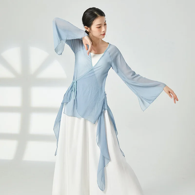 Long Sleeve Chiffon Cardigan Classical Dance Practice Clothes Loose Chinese Folk Dancer Stage Show Wear Transparent Flowy Dress