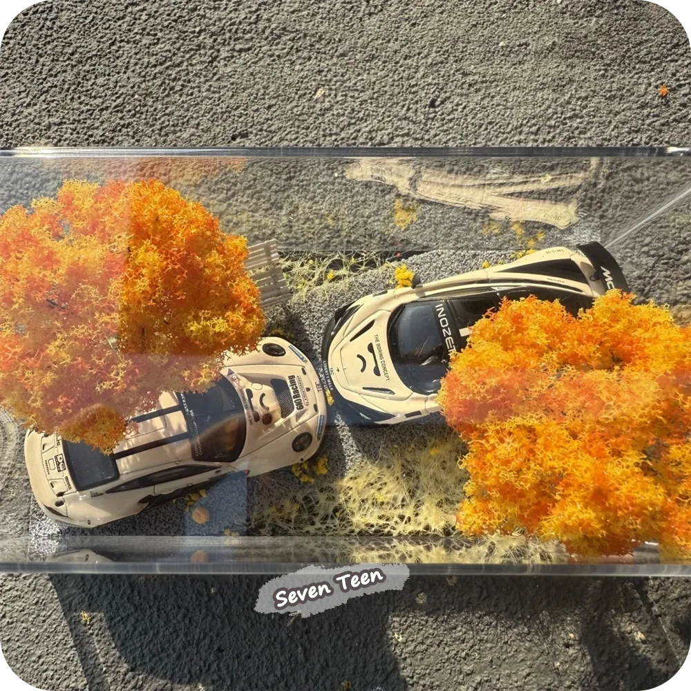 1:64 Herbstszenen-Miniatur-Automodell-Acryl-Vitrine Modell-Fotorequisiten Heimdekor Miniatur-Ornament (Automodell nicht enthalten) – Detail 6