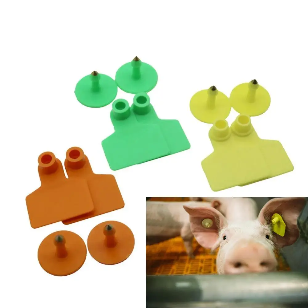 20/200 Pcs Pig Cattle Sheep Ear Tags Wordless Tpu Tags 5 Color Farm Animal Identification Ear Tags Livestock Animal Marking Tags