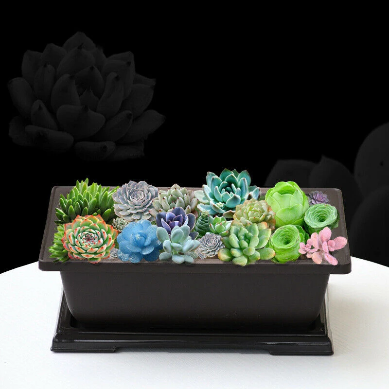 Plastic Rectangular Pot for Balcony Garden Living Room with Bottom Drain Holes and Damp Proof Break Resistant Material