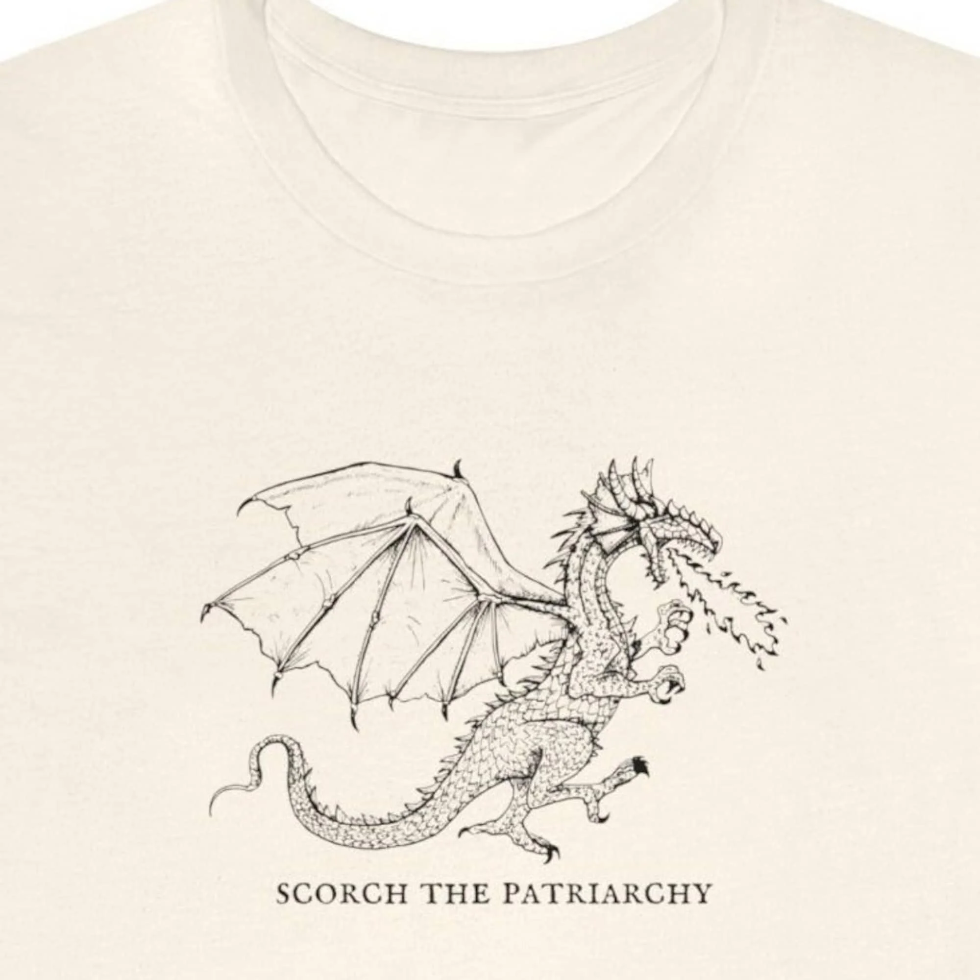 Fantasy Dragon Scorch The Patriarchy Dark Romance Novel Funny Feminist Read Smut T Shirt