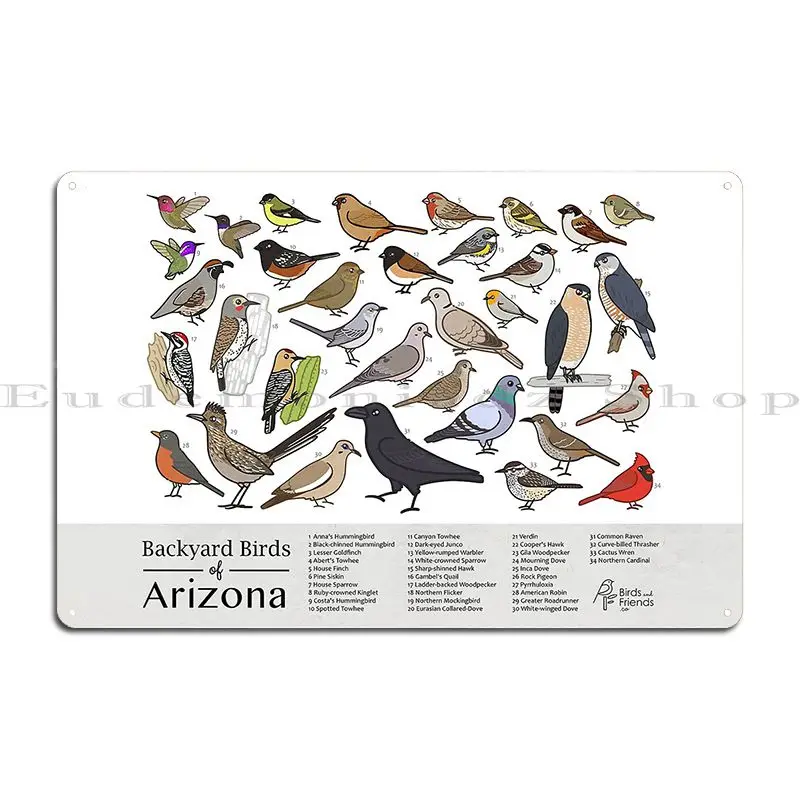 Arizona Backyard Birds Of Arizona Field Guide Print Bird Art Birdsandfriends Co Metal Signs Customized Plaques Tin Sign Poster