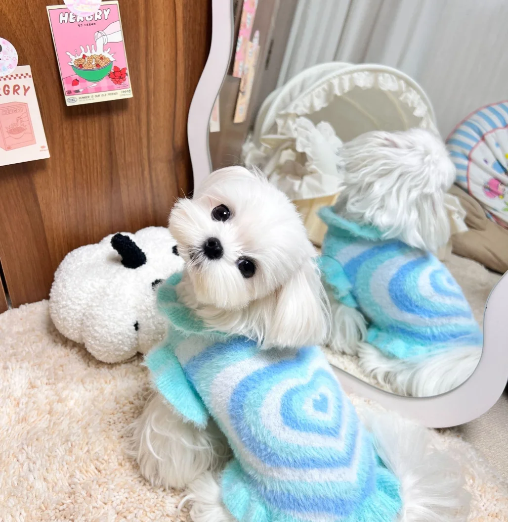 Autumn Cute And High-Quality Macaron Color-Patterned Pet Knitted Dress - Cute Dog Sweater Dress