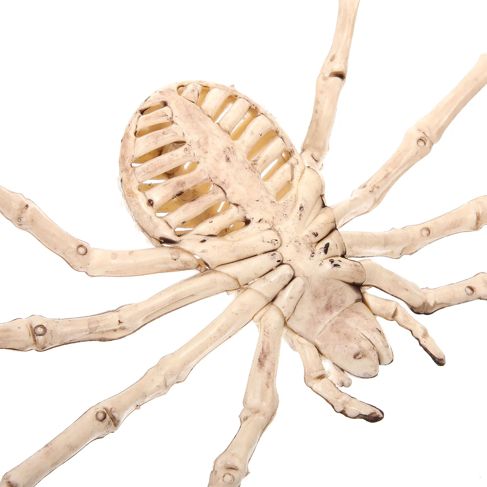 

Spider Ghost Dining Room Table Decor Animal Halloween Miniature Plastic
