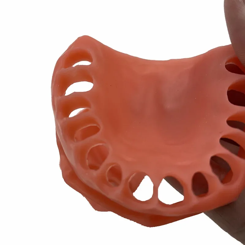 

2Pcs/set Dental Gum Model Upper/lower Simulated Gums Dentisit Lab Student Learning Teaching Model Material