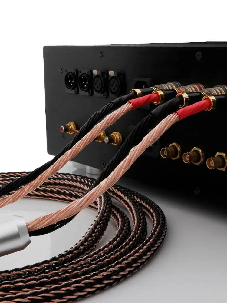 Paar Lautsprecherkabel OCC versilberter Lautsprecher 2 bis 4 Kohlefaser-Bananenstecker Anti-Lärm-Audiokabel für CD-Verstärker-Mixer – Detail 7