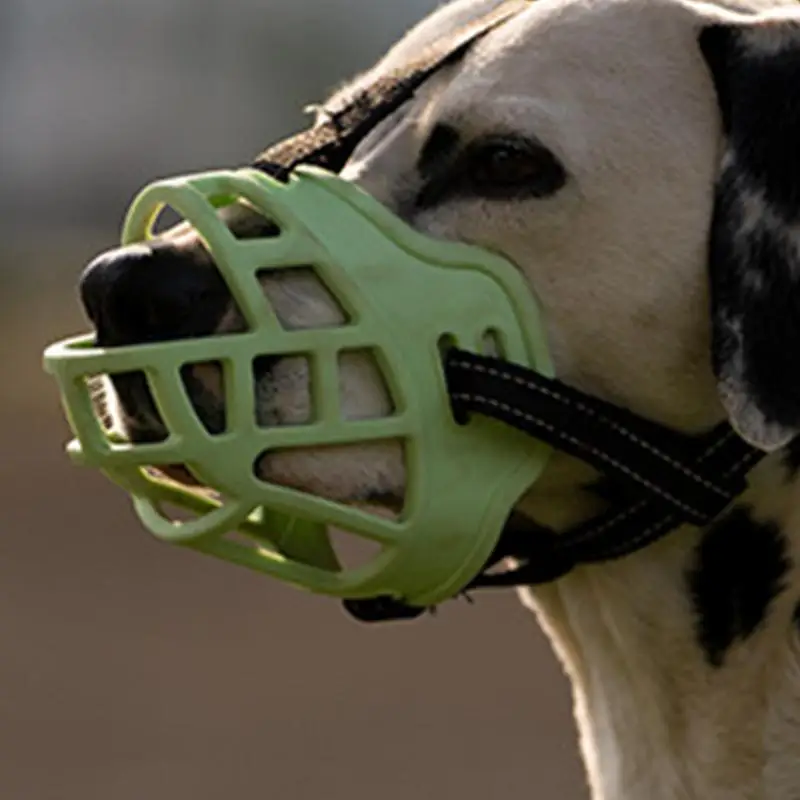 

Adjustable Dog Muzzle Anti-Biting Dog Mouth Cover With Reflective Strip Fluorescent Breathable Training Muzzle pet supplies