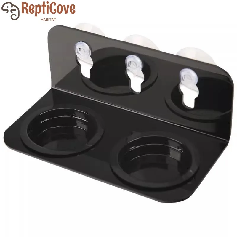 Arboreal Reptile Fo…