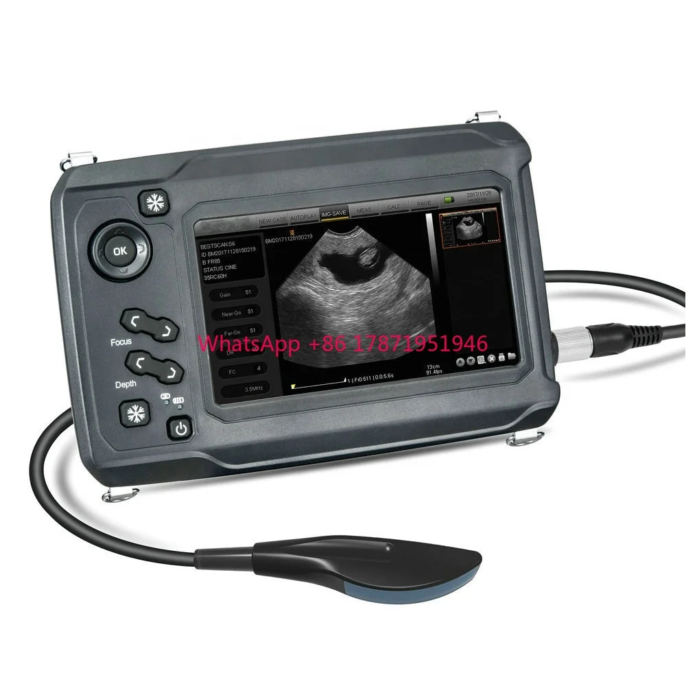 USG bmv s6 ultrasound veterinary bmv ultrasound ecografo bmv s6