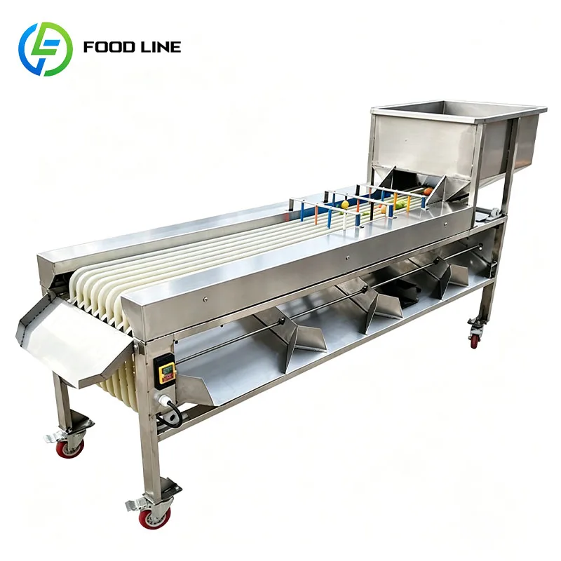 Small Fruit Sorting Machine Produce Grader Size Grading Machine for Loquat Olive Raspberry Grape Customized