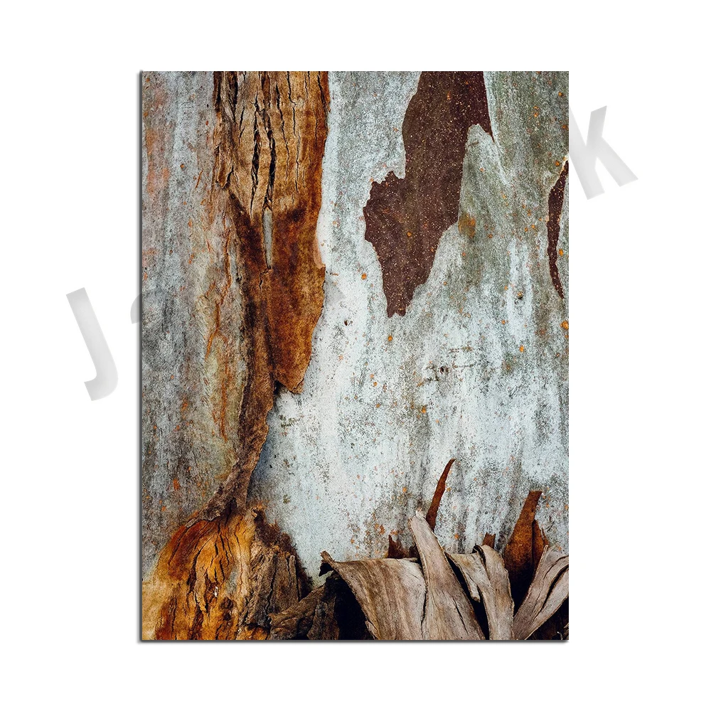tree texture print, Australian nature print photography, tree bark print, botanical wall art, modern brown art canvas poster