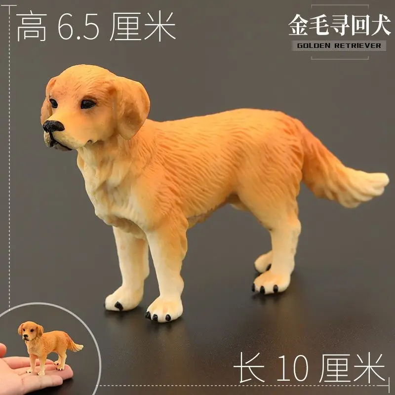 Solid Children's Realistic Animal Toy Animal Model Golden Retriever Hunting Dog Pet Dog Cognitive Gift Ornament