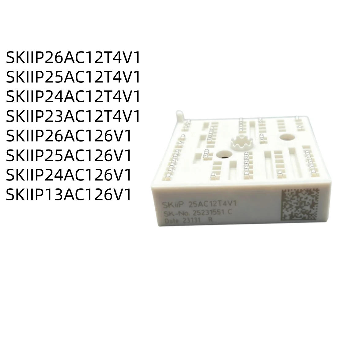 SKIIP26AC12T4V1 SKIIP25AC12T4V1 SKIIP24AC12T4V1 SKIIP23AC12T4V1 SKIIP26AC126V1 SKIIP25AC126V1 SKIIP24AC126V1 SKIIP13AC126V1