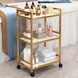 High-end Beauty Cart Skin Care Collection Tool Storage Cart Multilayer Storage Rack Hairdressing Nail Organizer Cart with Wheels