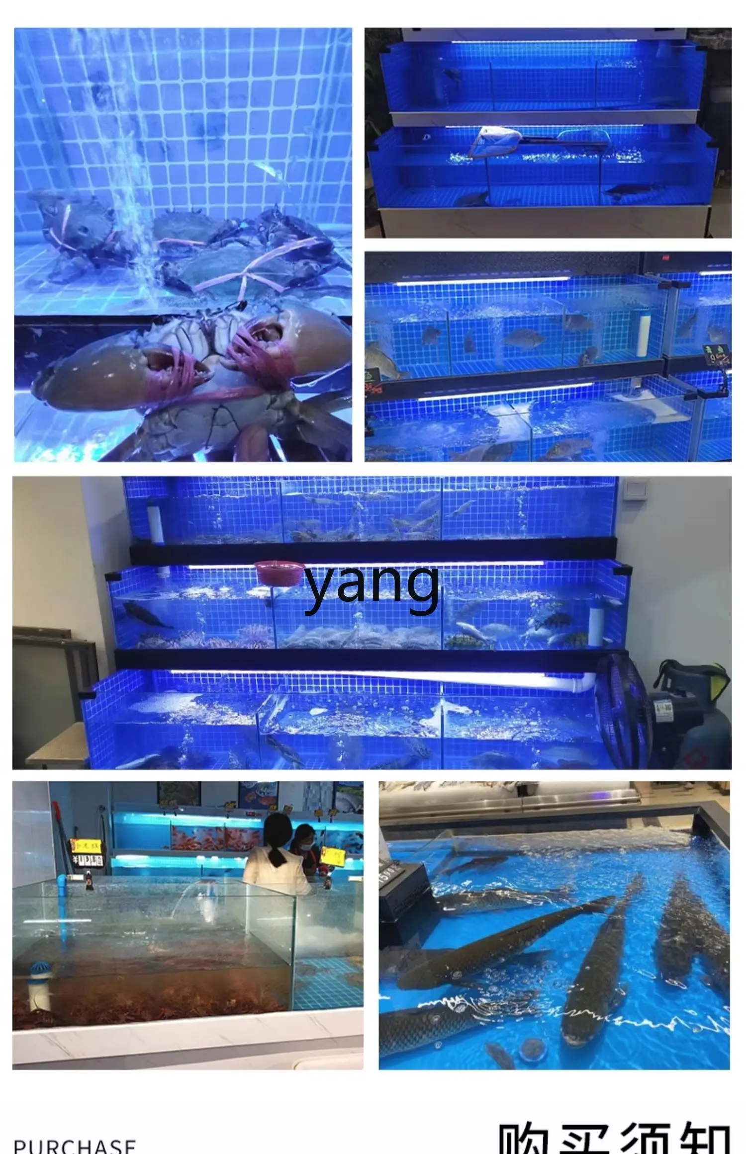 LH seafood pool commercial integrated hotel special seafood fish tank refrigerator shellfish pool aquatic products