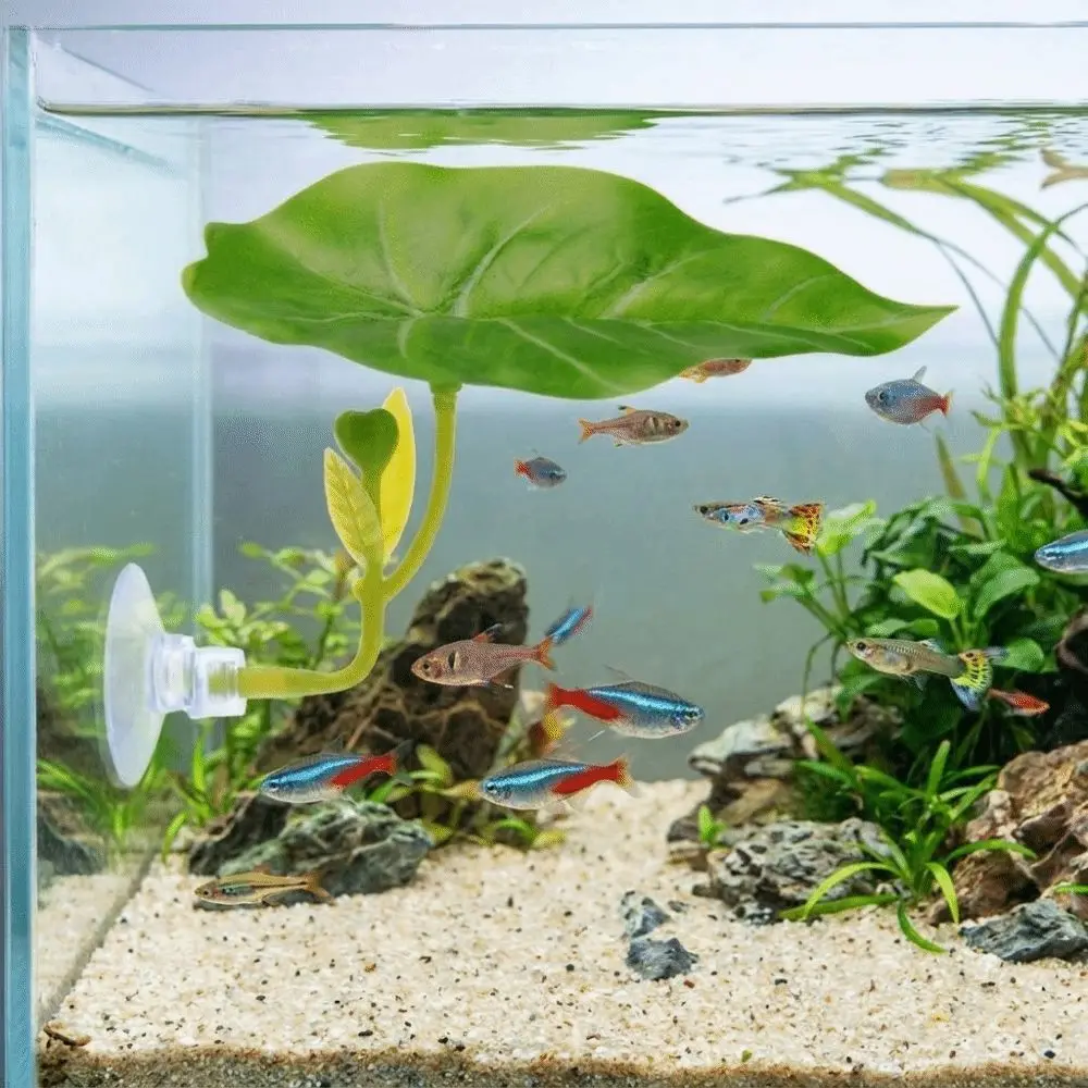 Simulated Lotus Leaves Fighting Fish Resting Leaves with Suction Cup Artificial Betta Fish Floating Bed Fake Plant Plastic