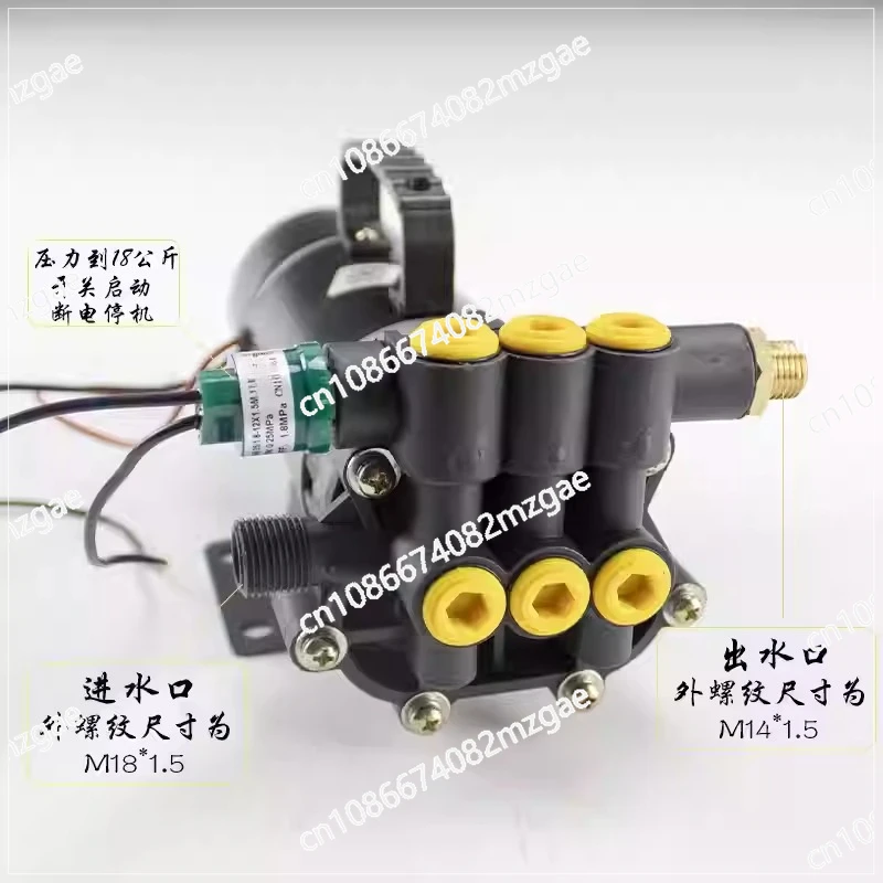 Portable DC Electric Pesticide Sprayer Pump 12V 48V 60V, 120W Three-Cylinder High Pressure Power Pump for Agriculture