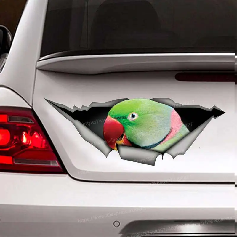 Funny Car Sticker Rose ringed parakeet Car Window Decorative Waterproof Vinyl  Decal Animal for Car Accessories Decor SH03