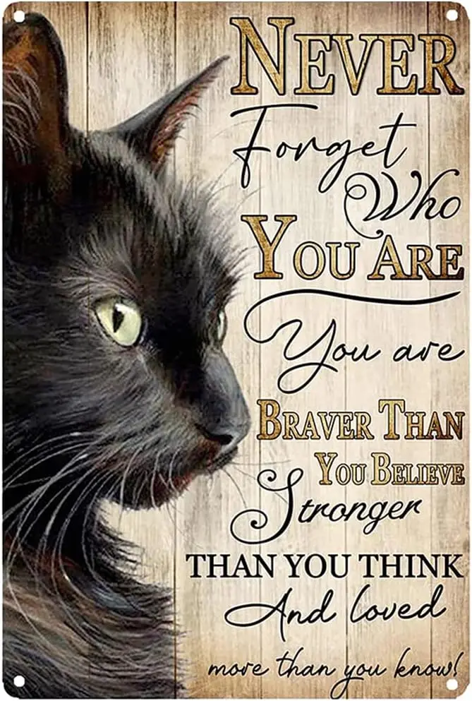 Never Forget Who You Are - Funny Cats Vintage Wall Decoration - Inspiring Tin Metal Signs Artwork - Original Vintage Design Tin