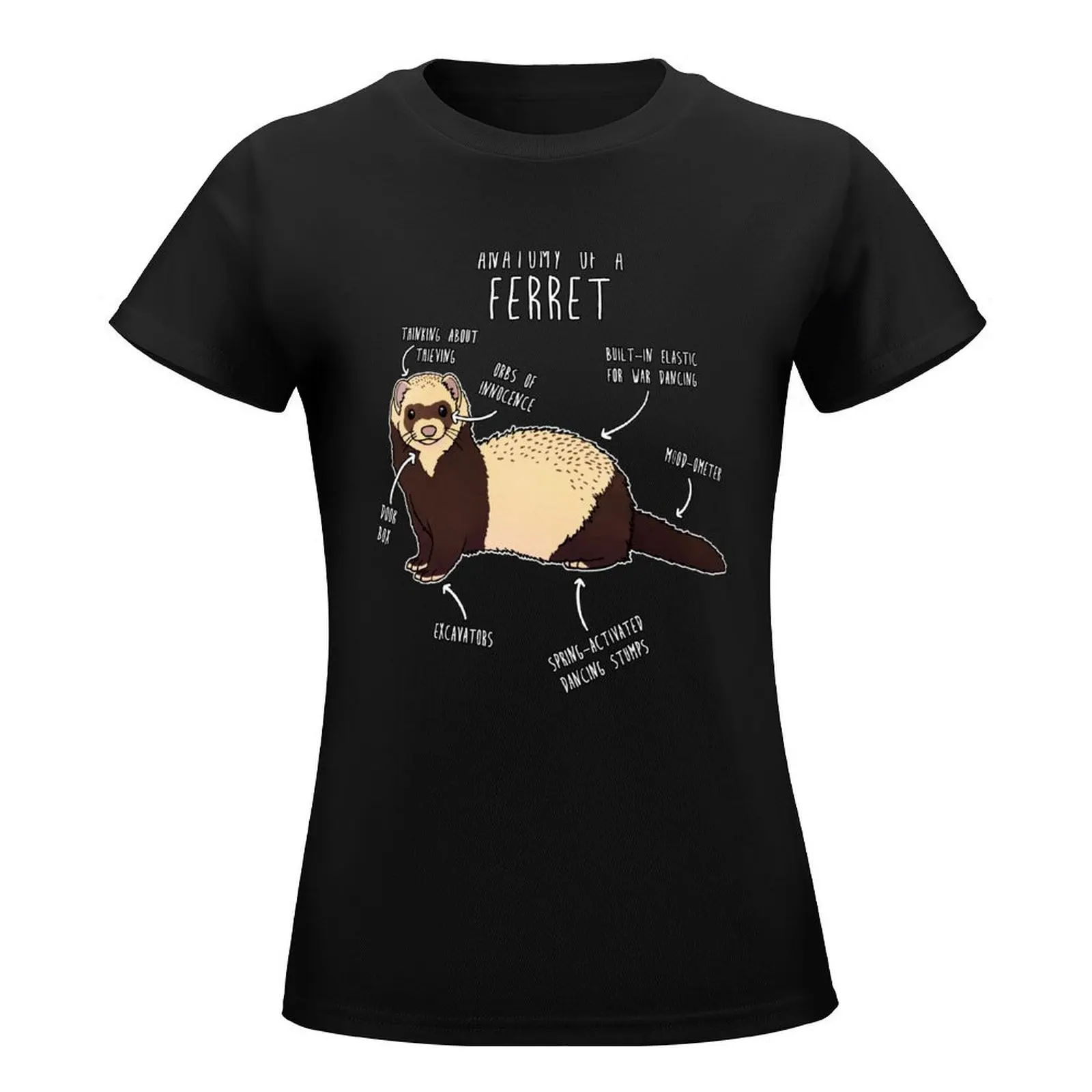 Anatomy of a Ferret T-Shirt graphics summer clothes cute tops Woman T-shirts