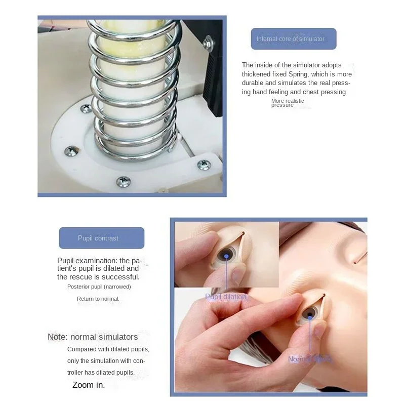 Imagem -04 - Manequim de Treinamento de Enfermagem Profissional Modelo de Ensino Primeiros Socorros Humanos Peito Cardiopulmonar Ressuscitação