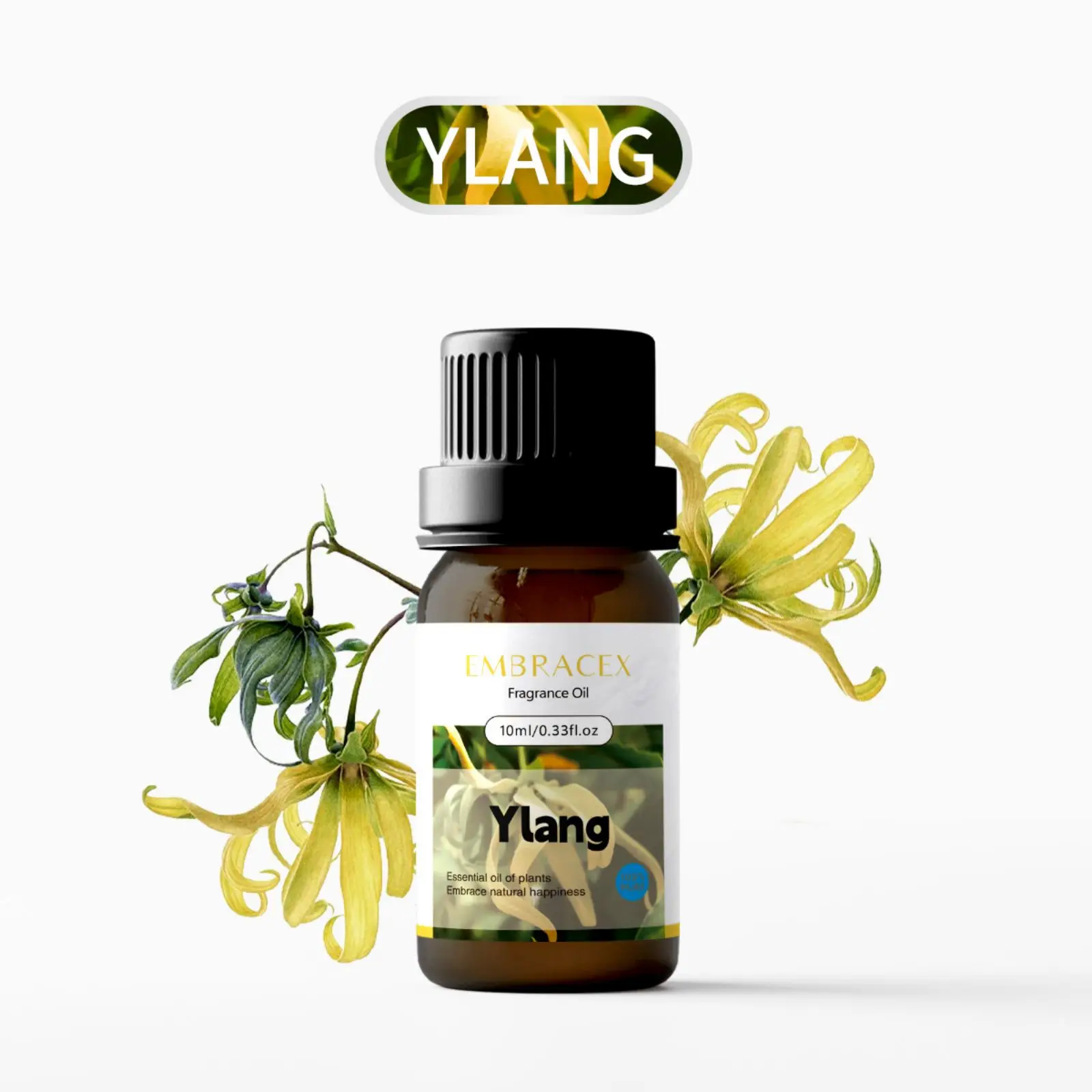 Aceites esenciales sensuales para mujer, Perfume Ylang, aceites de aromaterapia, hechizo de amor, maestro de luxúria, Miss You, Perfume Floral, 10ml