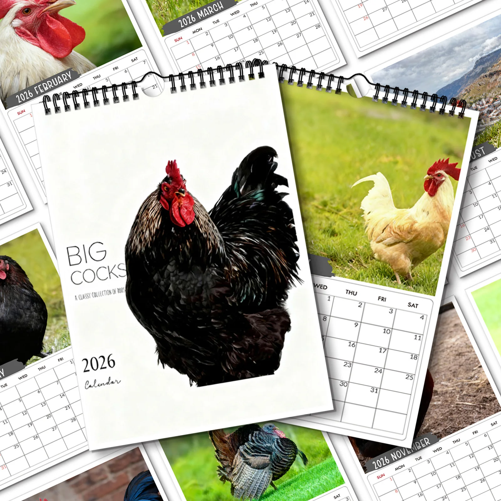 

1PC 2026 Spiral Calendar,Sleek Black Rooster Theme, for Home Living Room Shelf,Office Decor,Thoughtful Gift for Poultry Fans