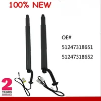 AP03 2PCS REAR PAIR SPINDLE DRIVE/GAS STRUT SPRING FOR AUTO TAILGATE BOOT FOR BMW X6 F16 51247318651 51247318652