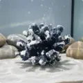 Blue S