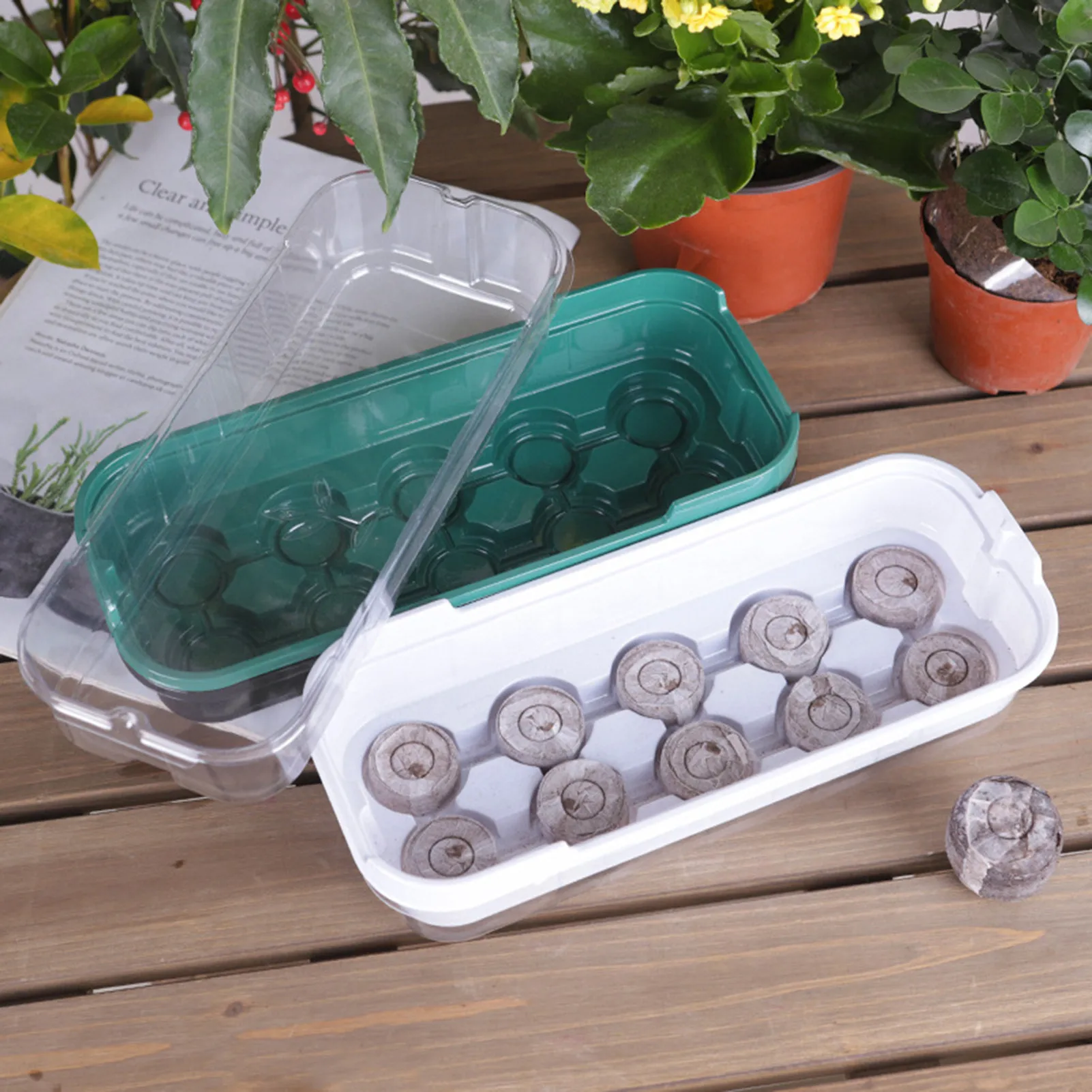 Reusable Seed Starter Tray 10 Cells Mini Plastic Indoor Seed Starting Trays With Dome Windowsill Greenhouse Kits For Seeds