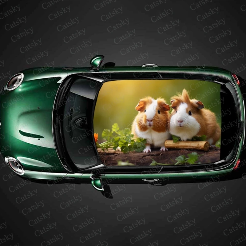 

Guinea Pig Car roof sticker wrap racing SUV accessories packaging painting PVC car accessories graphic decals