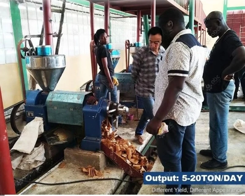 Quality Assurance Cooking Sunflower Soybean Sesame Castor Oil Making Machine for Pressing/processing Peanuts,groundnut,mustard, - view 4