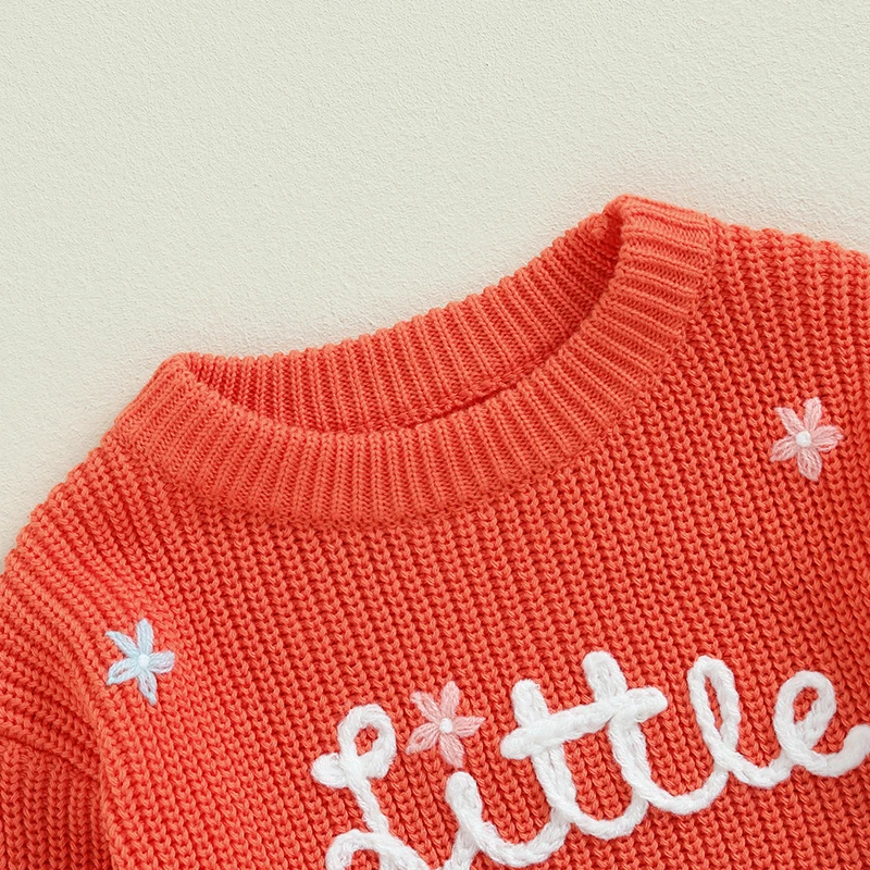 Little Sister Newborn Outfit Baby Girl Winter Clothes Knitted Sweater Matching Sister Sweatshirt Fall Clothes