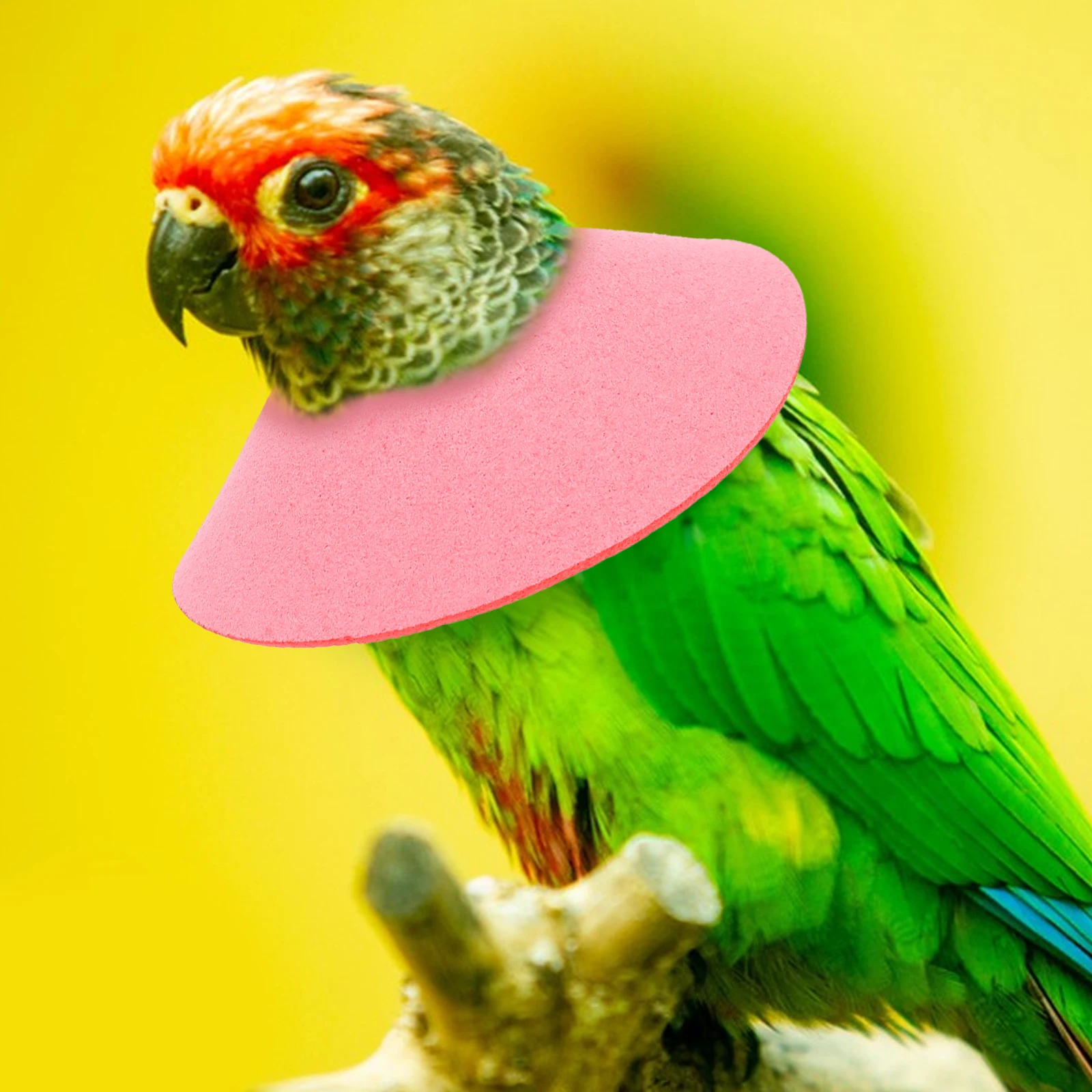 

Parrot Anti-Bite Neck Cone Lightweight Collar Protective Neck Ring Skin-Friendly Durable Bird Accessories Anti-Pecking Bird
