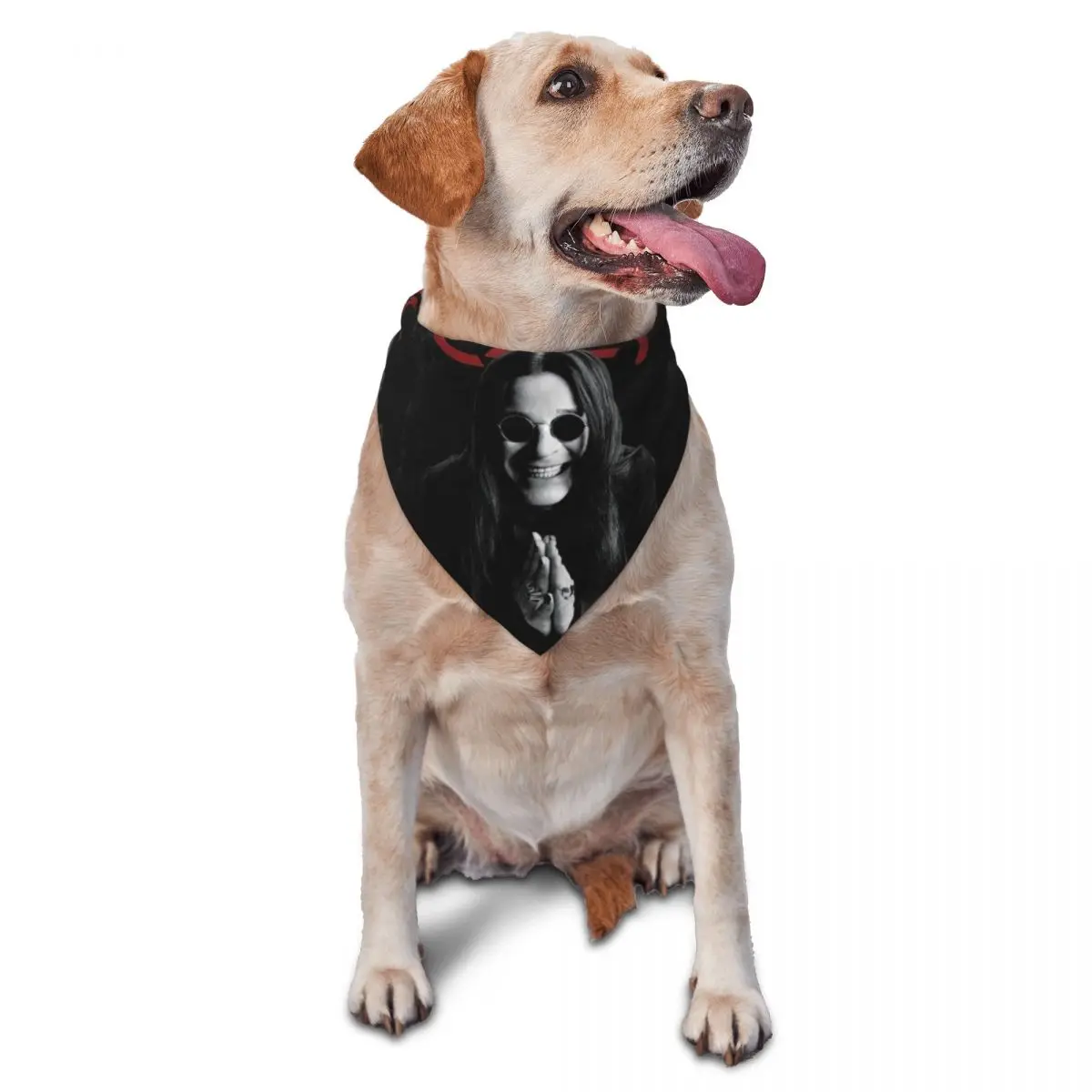 Ozzy Osbourne Heavy Metal Rock música cantante bufanda para mascotas perros finos Bandana para gatos babero triangular creativo accesorios para mascotas