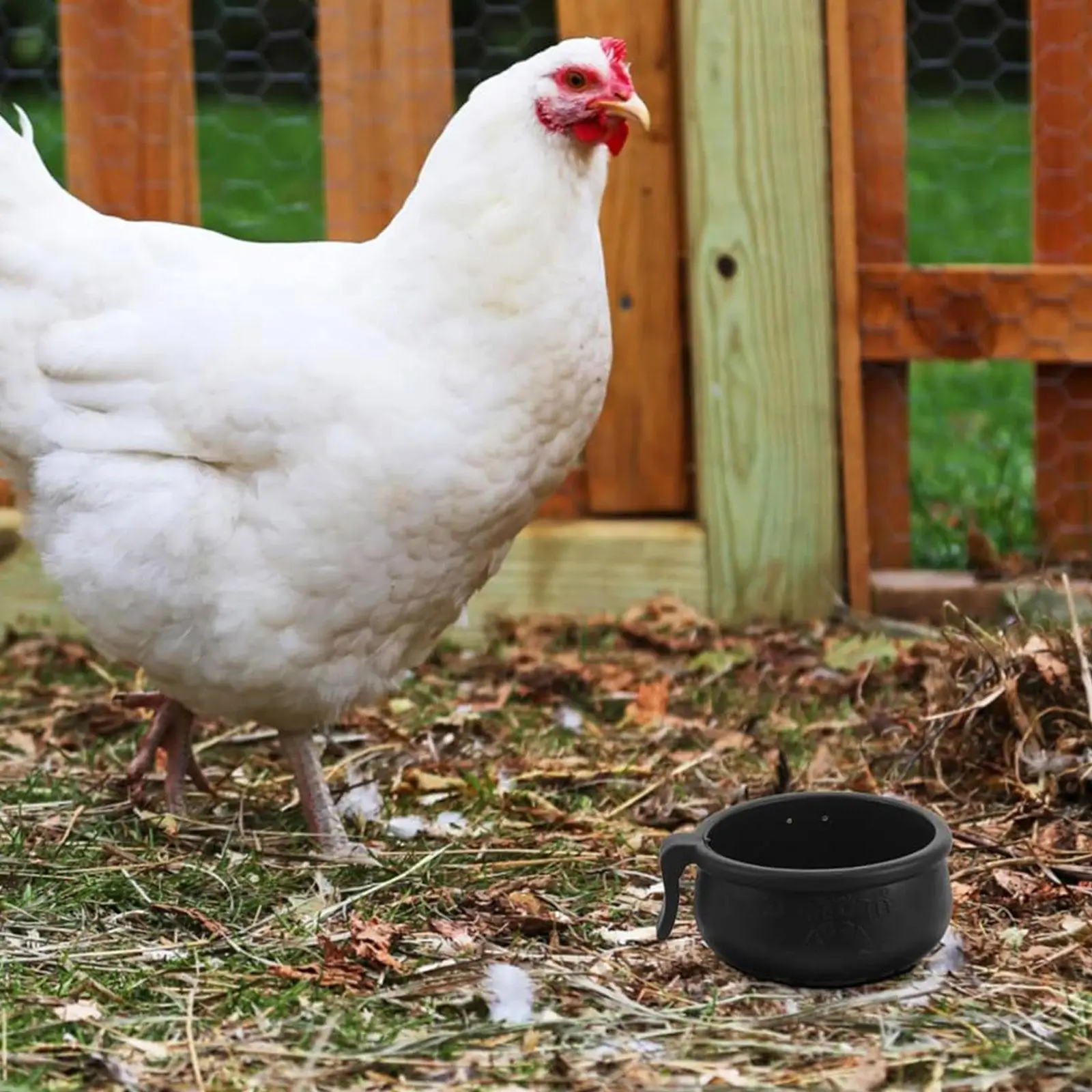 Feeder Pan Chicken Waterer Poultry Drinking Bowl Compact Multifunction Chicken Drinkers Farm Pig Chickens Ducks